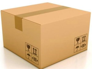 水果紙(zhǐ)箱包裝